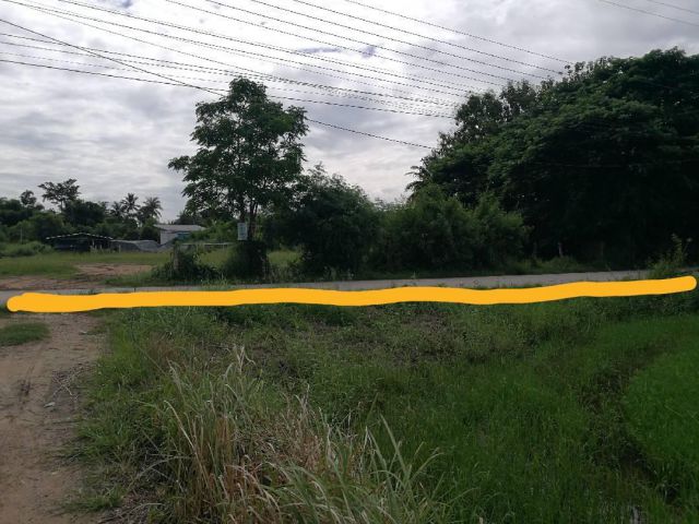 ขายด่วนก่อนไปนอก