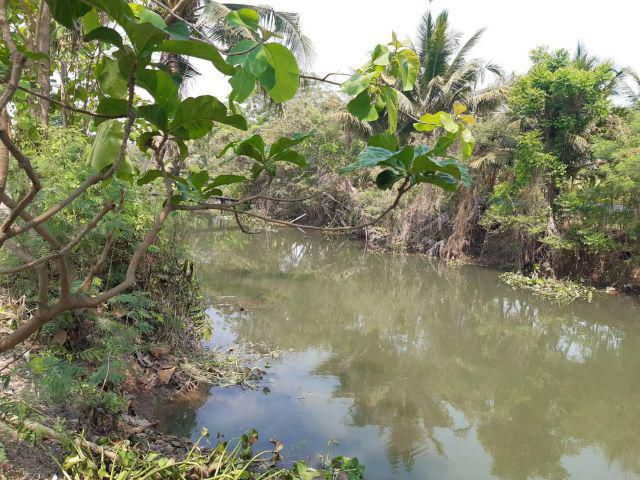 ขายด่วน!!!ที่ดินแปลงสวยราคาถูก ด้านหน้าติดคลอง ด้านหลังถนนคอนกรีต เนื้อที่ 2-1-0 ไร่ เหมาะปลูกบ้านทำเกษตรพอเพียง