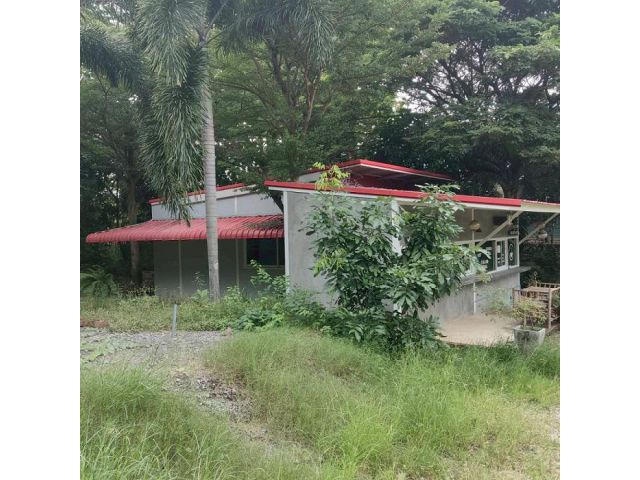 ขายบ้านด่วน! ติดถนนซอยสัตหีบ-สุขุมวิท23 แปลงมุม ราคาต่ำกว่าประเมิน เพียง 2.5 ล้าน พร้อมโอนทันที! สูงและสวย