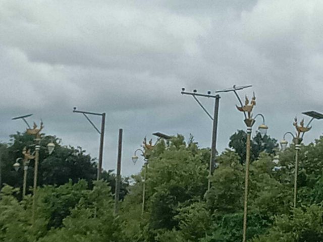 ขายด่วน!!!!! ที่แปลงเล็ก 217 ตรว. ในโครงการหมู่บ้านกรีนเลค ต.ราชาเทวะ อ.บางพลี จ.สมุทรปราการ ตรว.ละ 16,000.- เท่านั้น