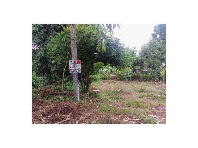 ขายที่ดินซอยเวฬุวัน2 เมือง ยะลา เนื้อที่ 183 ตารางวา แปลงสวย ทำเลดี ใกล้ตัวเมืองยะลา