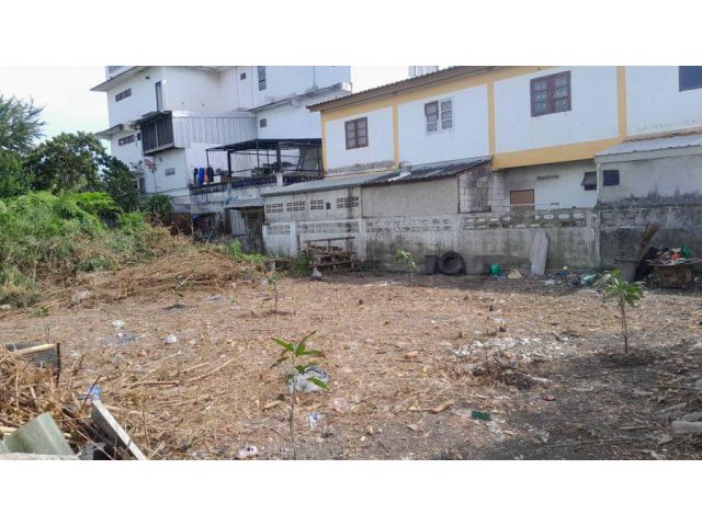 โอกาสดีขายที่ดินแปลงสวย100 ตร.ว. ไอยรา ตลาดไท ซอยฟินิกซ์ปาร์ค6 ราคาดีมาก