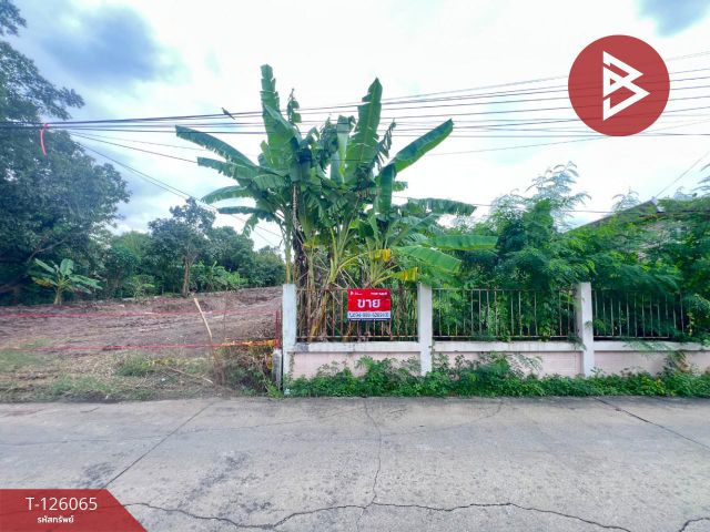 ขายที่ดินด่วน เนื้อที่ 1 ไร่ บางกร่าง นนทบุรี