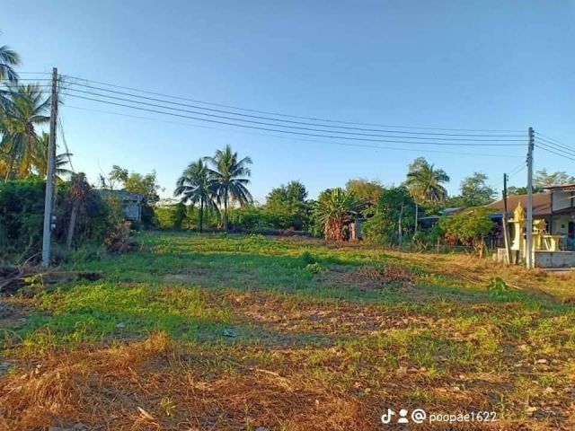 L920 ขายที่ดินสวยทำเลดี ถมแล้ว 259 ตรว เนินมะปราง พิษณุโลก