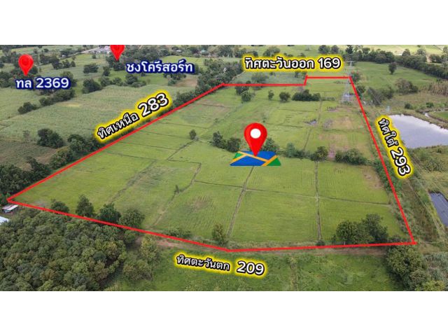 ข￼ายด่วน ที่นาแปลงสวย ดินดี อุดมสมบูรณ์ มีเพื่อนบ้าน ทำนาได้ข้าวเยอะทุกๆปี เหมาะแก่การสร้างบ้านสวน ทำเกษตร ทำโค่กไร