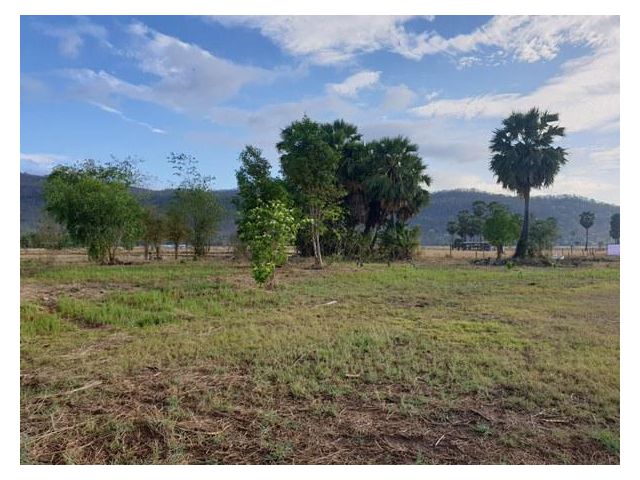 ที่ดิน 1 ไร่ 1 งานกว่าๆเหมาะทำรีสอร์ทที่พักร้านอาหารคาเฟ่