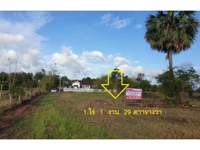 ที่ดิน 1 ไร่ 1 งาน 29 วา เหมาะทำรีสอร์ทที่พักร้านอาหารคาเฟ่
