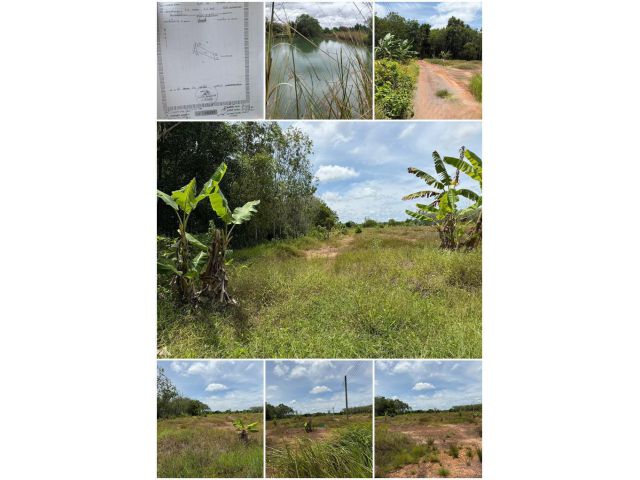 ที่ดินสวย 4ไร่ 1งาน 11ตร.วา️