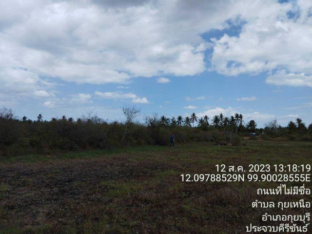 ขายด่วนที่นาปรับเรียบสวยๆ ติดคลองส่งน้ำ โฉนด 3 แปลง ติดถนนลาดยาง 48 ไร่เศษๆ ต.กุยเหนือ อ.กุยบุรี จ.ประจวบคีรีขันธ์ ขายไร่ละ 200,000.-