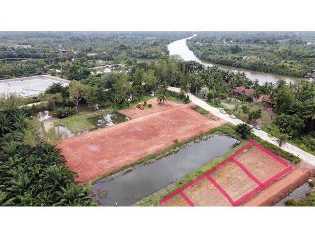 ขายที่ดินเปล่าจัดสรร ติดโครงการเดอะ ริเวอร์ เรสสิเดนซ์ สุราษฎร์ธา