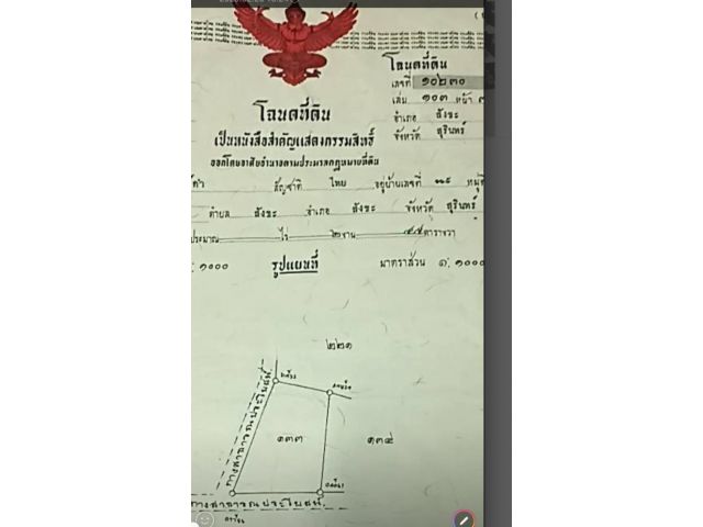 แบ่งขายที่ดิน 2งาน 50 ตรว. บ้านสังขะ