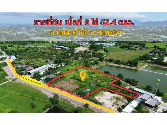 ขายที่ดินหนองตำลึงพานทองชลบุรี เนื้อที่ 6ไร่ 52.4 ตรว.