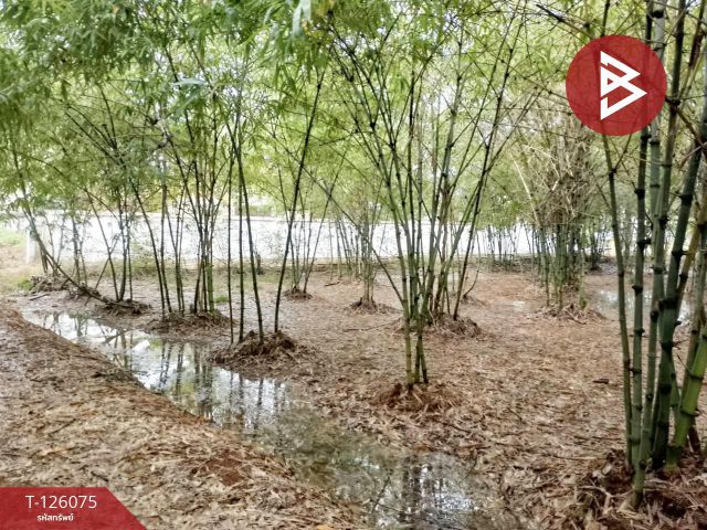 ขายที่ดิน เนื้อที่ 4 ไร่ 1 งาน 95.8 ตารางวา ปราณบุรี ประจวบคีรีขันธ์