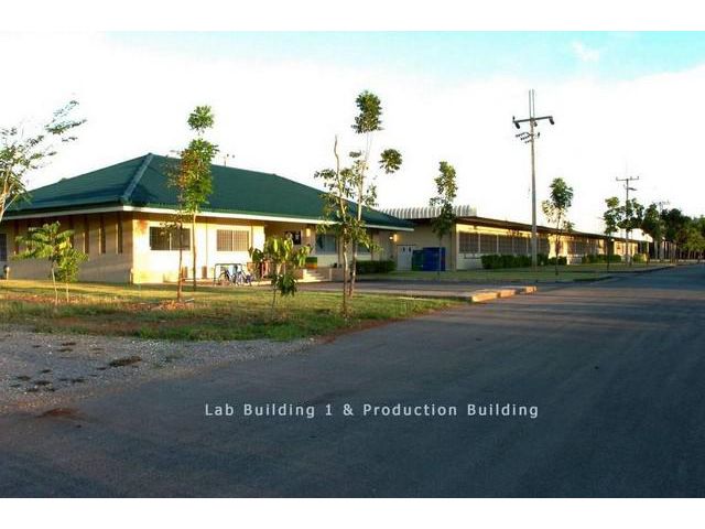 ขายโรงงานพร้อมสวนป่าเบญพรรณ จังหวัดระยอง รวมพื้นที่กว่า 101 ไร่