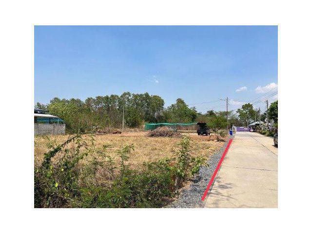 ขายที่ดินหนองเรือ 100ตรว. ใกล้โลตัส