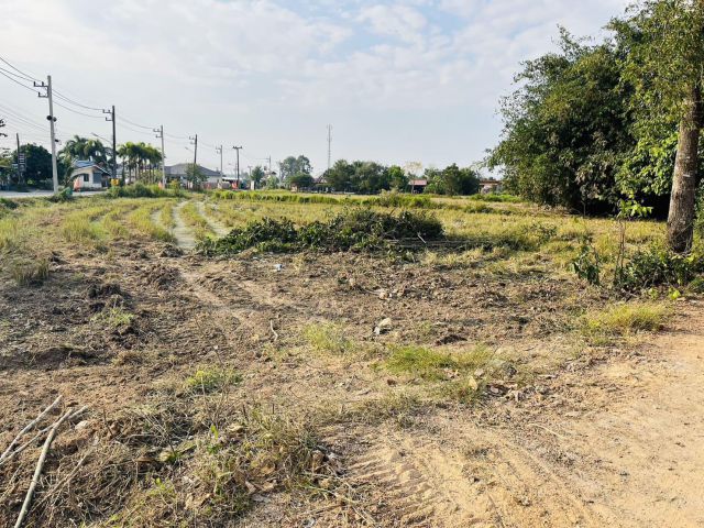 L922 ขายที่ดินสวยทำเลดี 8 ไร่ บางละมุง ชลบุรี