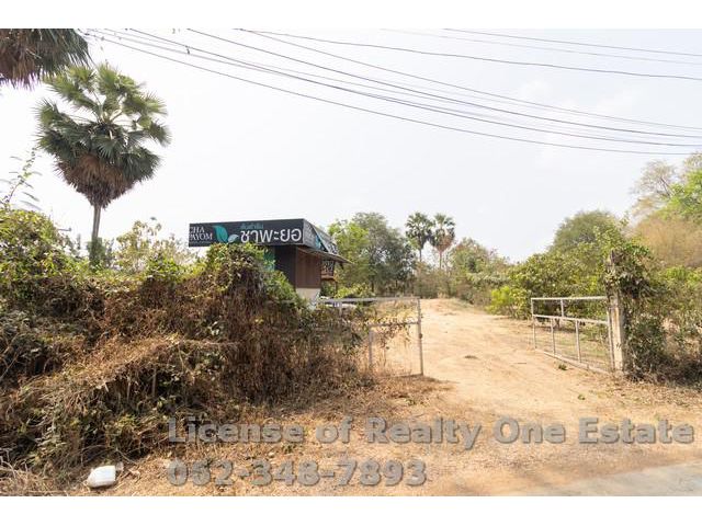 ขาย ที่ดิน ติดทางสาธารณะ ถมแล้ว ต.ห้วยกรด อ.สรรคบุรี จ.ชัยนาท แปล