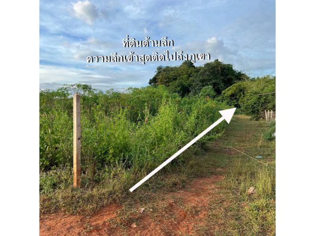 L925 ขายที่ดิน 3 ไร่ จอมบึง ราชบุรี