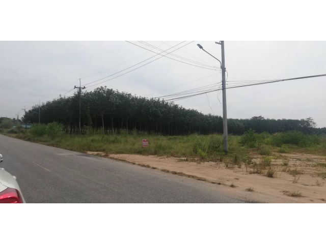 ให้เช่าที่ดิน 4ไร่ ปลวกแดง แม่น้ำคู้ ระยอง ใกล้นิคมอุตสาหกรรม WHA 4 วัดหลวงปู่ทิม ติดถนนใหญ่ ไฟฟ้ามี น้ำพร้อม