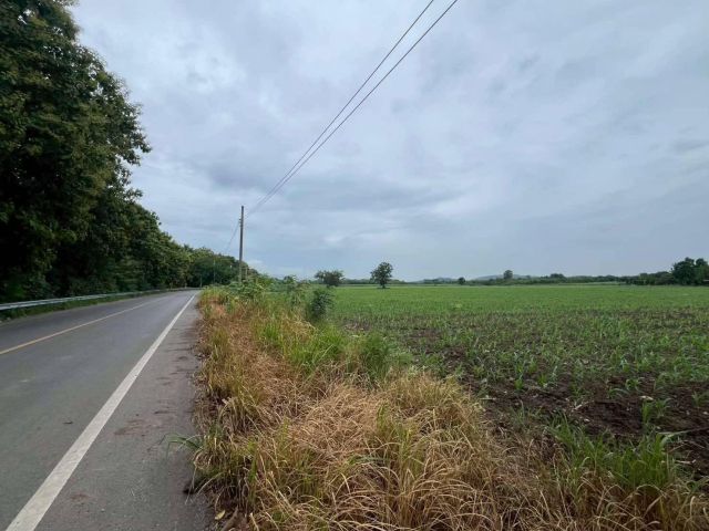 ถูกสุดในย่านนี้!! แบ่งขายที่ดินติดถนน 5-10 ไร่ วิวภูเขา อ.วังม่วง จ.สระบุรี ใกล้ตัวเมืองวังม่วง เขื่อนป่าสักฯ อ่างเก็บน้