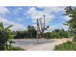 (โฉนด) ที่ดิน 224 ตรว. (พร้อมถม) เหมาะที่อยู่อาศัย หน้าติดถนนลาดยาง คลองน้ำ ไฟฟ้า น้ำประปา (พร้อมใช้) ม.10 ต.ดอนคา อ.อู่ทอง จ.สุพรรณบุรี