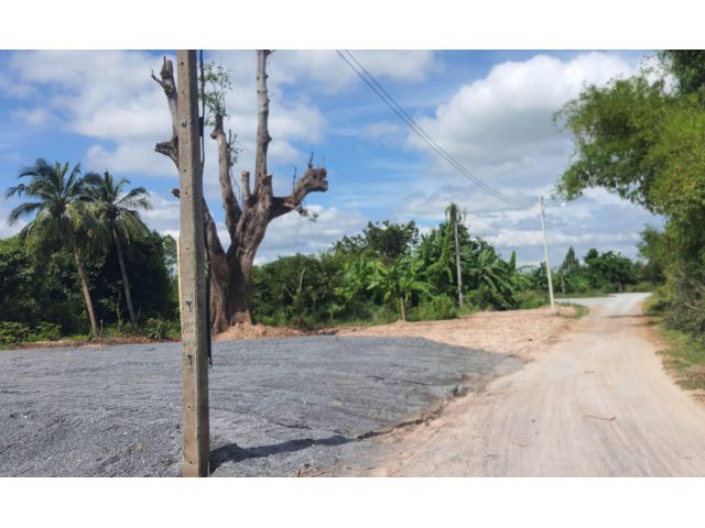 (โฉนด) ที่ดิน 224 ตรว. (พร้อมถม) เหมาะที่อยู่อาศัย หน้าติดถนนลาดยาง คลองน้ำ ไฟฟ้า น้ำประปา (พร้อมใช้) ม.10 ต.ดอนคา อ.อู่ทอง จ.สุพรรณบุรี