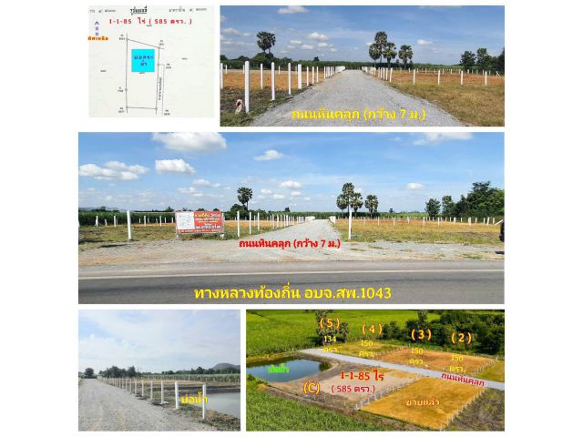 (โฉนด) ที่ดิน 224 ตรว. (พร้อมถม) เหมาะที่อยู่อาศัย หน้าติดถนนลาดยาง คลองน้ำ ไฟฟ้า น้ำประปา (พร้อมใช้) ม.10 ต.ดอนคา อ.อู่ทอง จ.สุพรรณบุรี