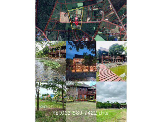 ขายที่ดินแถมบ้านเรือนไม้สัก สภาพดี เนื้อที่ 7-3-70 ไร่ ต.หมอนนาง อ.พนัสนิคม จ.ชลบุรี