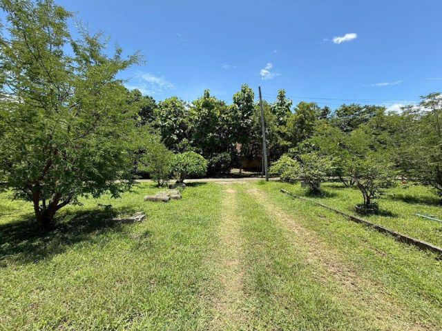 ขายที่ดินพร้อมสิ่งปลูกสร้าง ขนาด 6-3-5 ไร่ บ้านสวน ร่มรื่น ทำเลดี เดินทางสะดวก ต.พิชัย อ.เมืองลำปาง