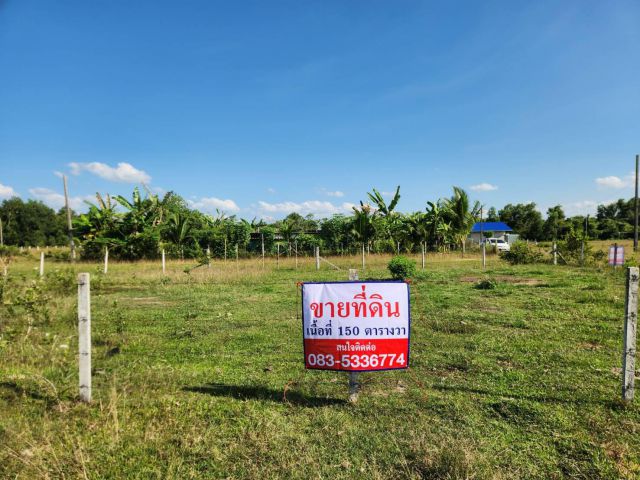 ขายที่ดิน เนื้อที่ประมาณ 150 ตารางวา