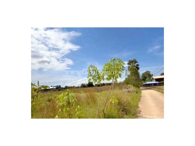 ที่ดิน ใกล้ถนนพิษณุโลก-หล่มสัก อ.วังทอง จ.พิษณุโลก