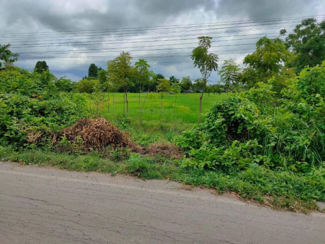 L931 ขายที่ดิน 3 ไร่ อรัญประเทศ สระแก้ว