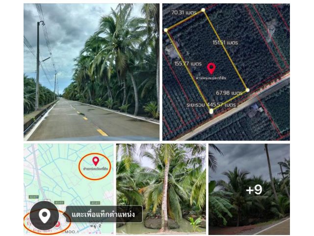 ขายที่ดินแปลงสวยๆเนื้อที่5ไร่3งาน56ตรว หน้าติดถนนราดยาง หลังติดหลอง ใกล้ตลาดบ้านแพ้ว