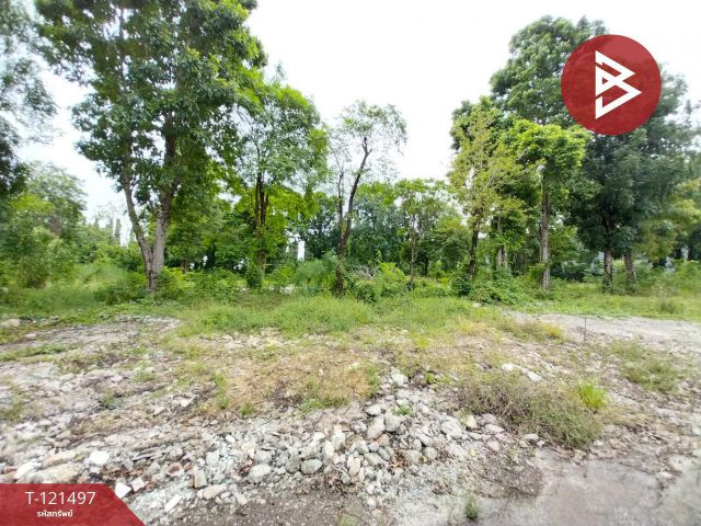 ขายที่ดิน เนื้อที่ 11 ไร่ อ.บางปะอิน พระนครศรีอยุธยา ติดถนนโรจนะ