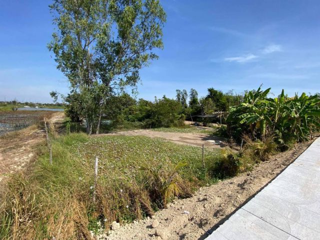 L933 ขายที่ดินใกล้ถนน.331  2 ไร่ พนัสนิคม ชลบุรี