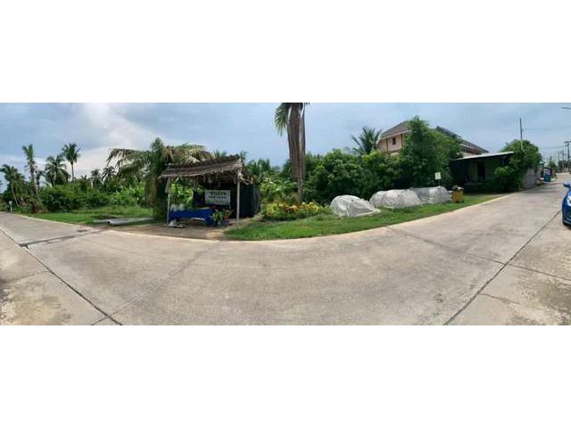 ที่ดินสวนออร์แกนิค 5 ไร่ ทำเลไร่ขิง ดอนหวาย 30 นาทีจากปิ่นเกล้า