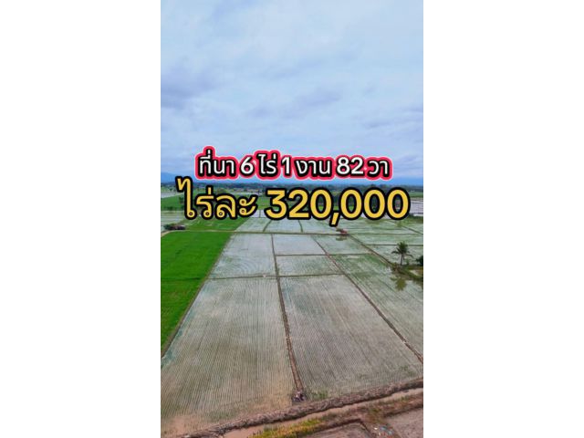 ที่นาสวย วิวธรรมชาติ น้ำดี กินดี ทำนาปี2-3 ครั้งสบาย