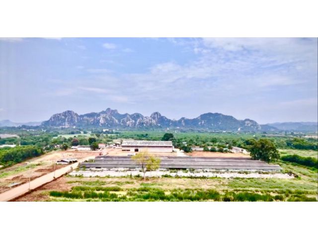 ขายที่ดินแปลงใหญ่ 140 ไร่ ต.สองคอน อ.แก่งคอย จ.สระบุรุ