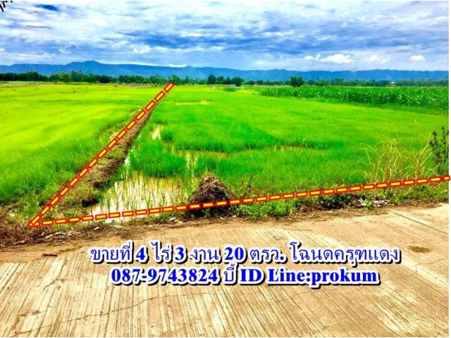 ขายที่ดิน 4 ไร่ 3 งาน 20 ตรว.โฉนดครุฑแดง ต.ชอนไพร