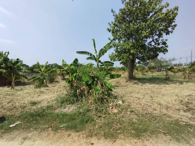 ขาย ที่ดินเปล่า 1แปลง ใกล้แม่น้ำเจ้าพระยา