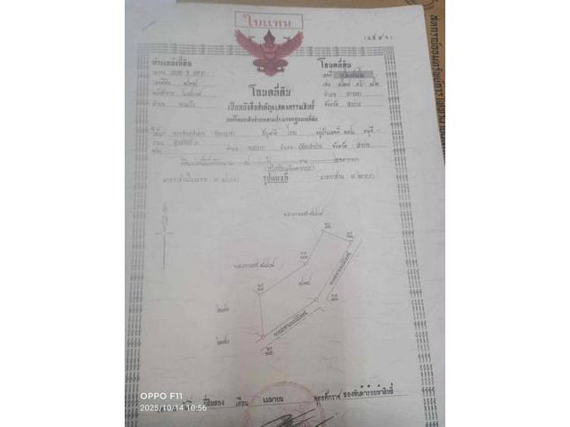 ขายที่ดินนาแก้ว อำเภอเกาะคา จังหวัดลำปาง พร้อมต้นสัก 100 กว่าต้น