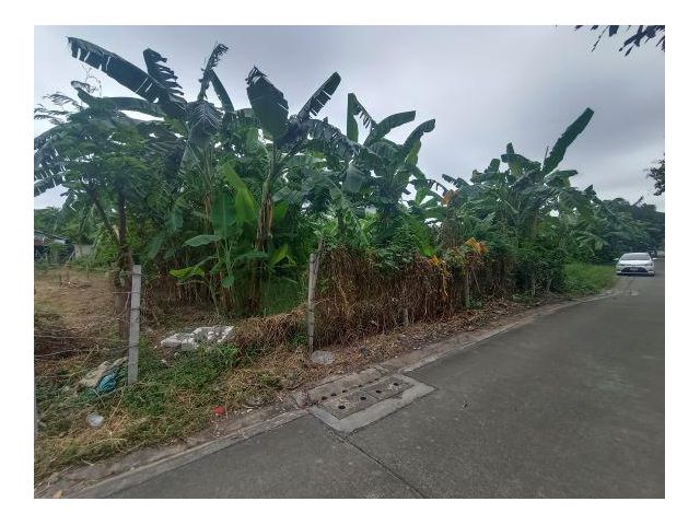 ขายที่ดิน 50 ตารางวา ซอยนาคนิวาส 14 ลาดพร้าว