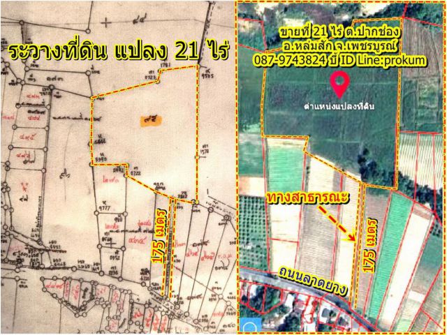 ขายที่ 21ไร่โฉนดครุฑแดง