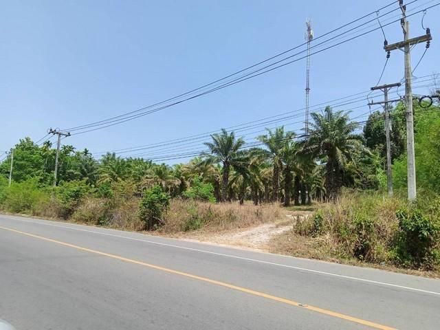 ขายที่ดินสวย 21ไร่ เอกสารสิทธิโฉนด เจ้าของขายเอง ชุมพร ที่ตั้ง : ตำบลนาชะอัง อำเภอเมืองชุมพร จังหวัดชุมพร 86000 https: