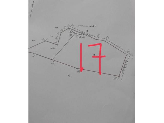 ขายที่ดินมาบไผ่บ้านบึงชลบุรี 17ไร่1งาน19ตร.ว.