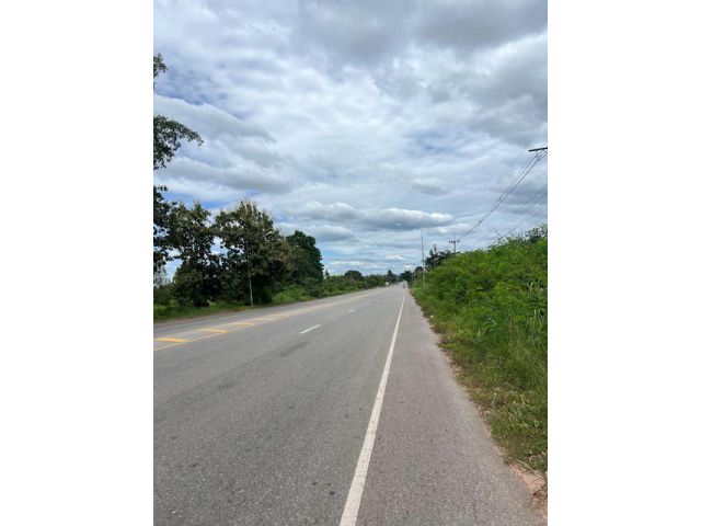 ขายที่ดินติดถนนหลักเส้น สมเด็จ-สกลนคร 17ไร่ หน้ากว้าง200เมตร ห่างสี่แยกไฟแดงสมเด็จ5กิโลเมตร ขายไร่ละ350,000.บาท