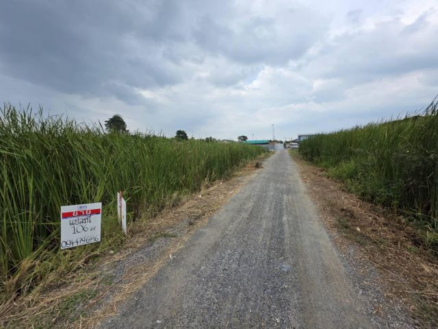 ขายที่ดินอ้อมน้อย 106วา สมุทรสาคร เเยกสาครเกษม เพชรเกษม, สมุทรสาคร