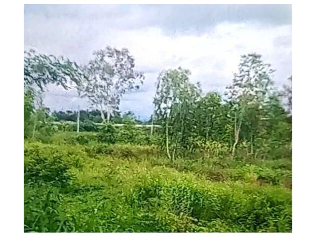 ที่สวยทำเลดีติดถนนชยางกูร16ไร่3งาน99ตารางวา