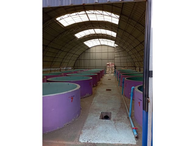 ให้เช่าฟาร์มกุ้งพร้อมบ้าน