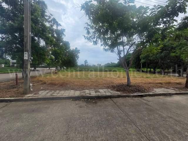 ลดราคา ที่ดินเปล่า 115 ตร.วา กฤษดาซิตี้ เลค แอนด์ พาร์ค ทำเลดี